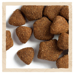 Сухий корм для дорослих собак всіх порід Dog Chow Adult Lamb 14 кг (ягня)