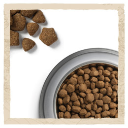 Сухий корм для дорослих собак всіх порід Dog Chow Adult Lamb 14 кг (ягня)