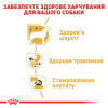 Вологий корм для дорослих собак породи чихуахуа Royal Canin Chihuahua Adult pouch 85 г - домашня птиця