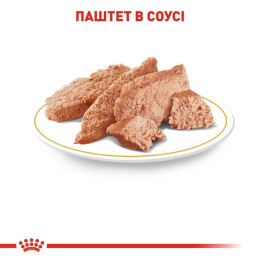 Вологий корм для дорослих собак породи чихуахуа Royal Canin Chihuahua Adult pouch 85 г - домашня птиця