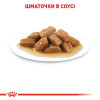 Вологий корм для дорослих собак середніх порід Royal Canin Medium Adult 140 г - домашня птиця