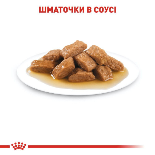Вологий корм для дорослих собак середніх порід Royal Canin Medium Adult 140 г - домашня птиця