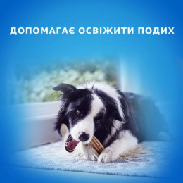 Ласощі для собак Pro Plan DentaLife Medium 115 г