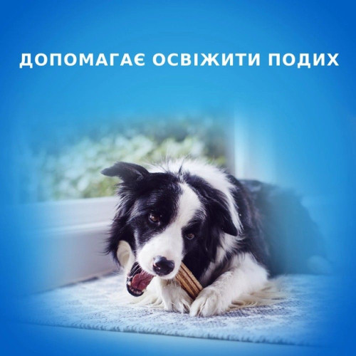 Ласощі для собак Pro Plan DentaLife Medium 115 г